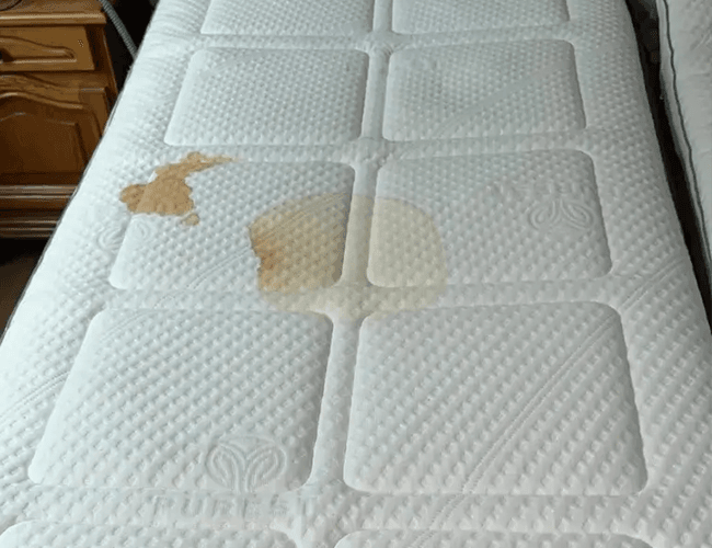 matras-gereinigd-voor-foto