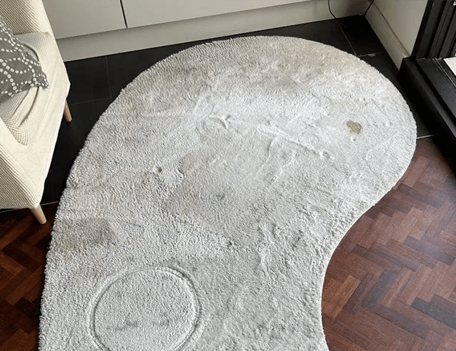 vloerkleed-gereinigd-voor-foto