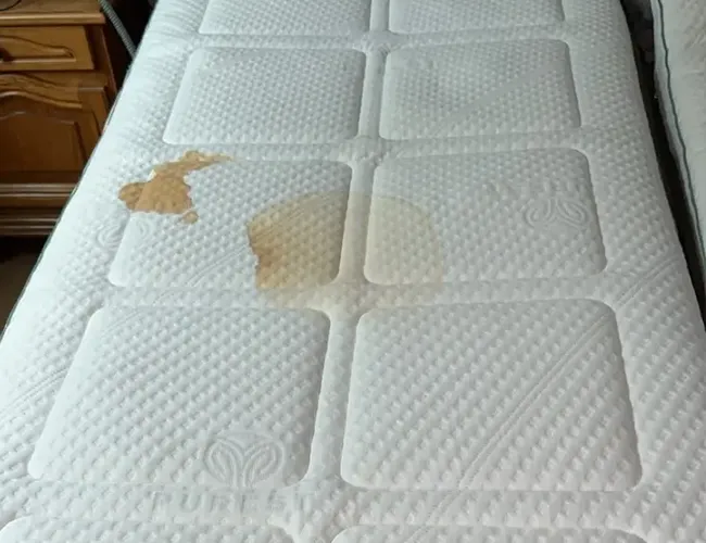 matras-gereinigd-voor-foto matras-gereinigd-voor-foto